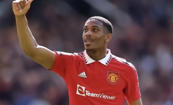 球迷们呈现 球迷们呈现